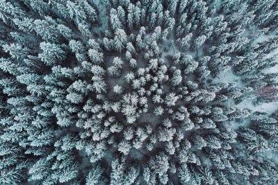 how to treat dry skin man