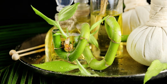 bamboo powder skin benefits