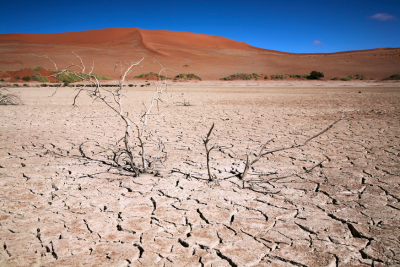 how to prevent dry hair