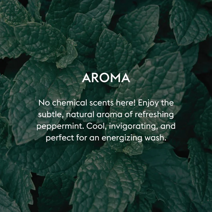 Volumizing Conditioner 8.4 FL OZ